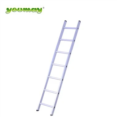 Đánh giá nhiệm vụ thang đơn